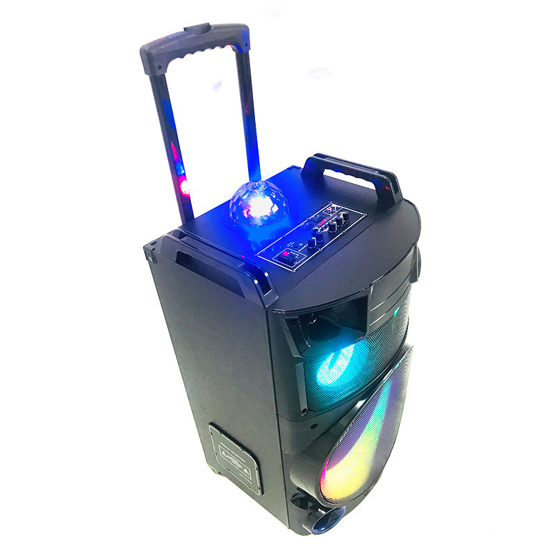 1X12" Rechargeable Wireless Party Speaker