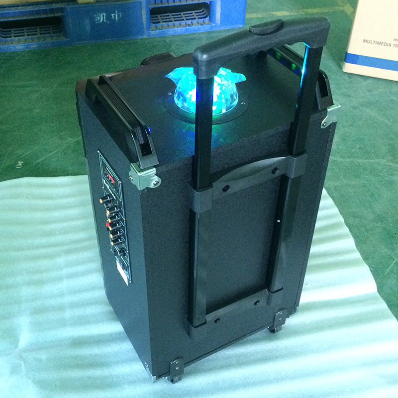 1X12" Outdoor Party DJ Flashing Speaker Box