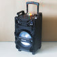 1X10" Trolley Amplifier Wireless Bluetooth Speaker