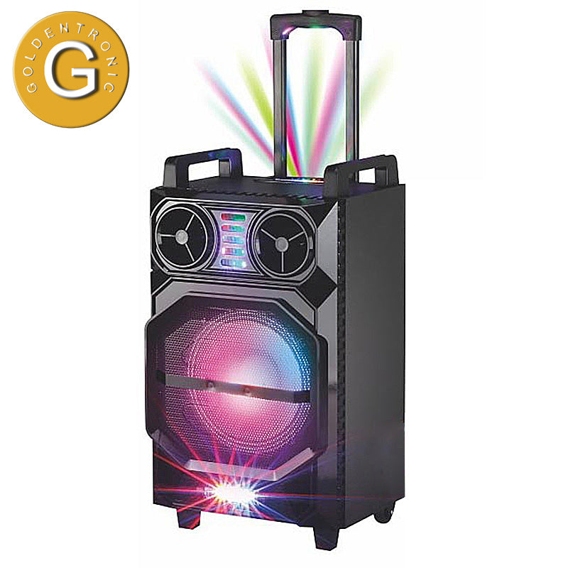 1X10" Trolley Ball Light Amplifier Loudspeaker