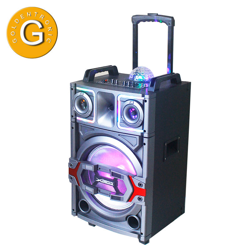 1X12" Outdoor Party DJ Equalizer Speaker