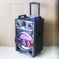 1X12" Outdoor Party DJ Equalizer Speaker