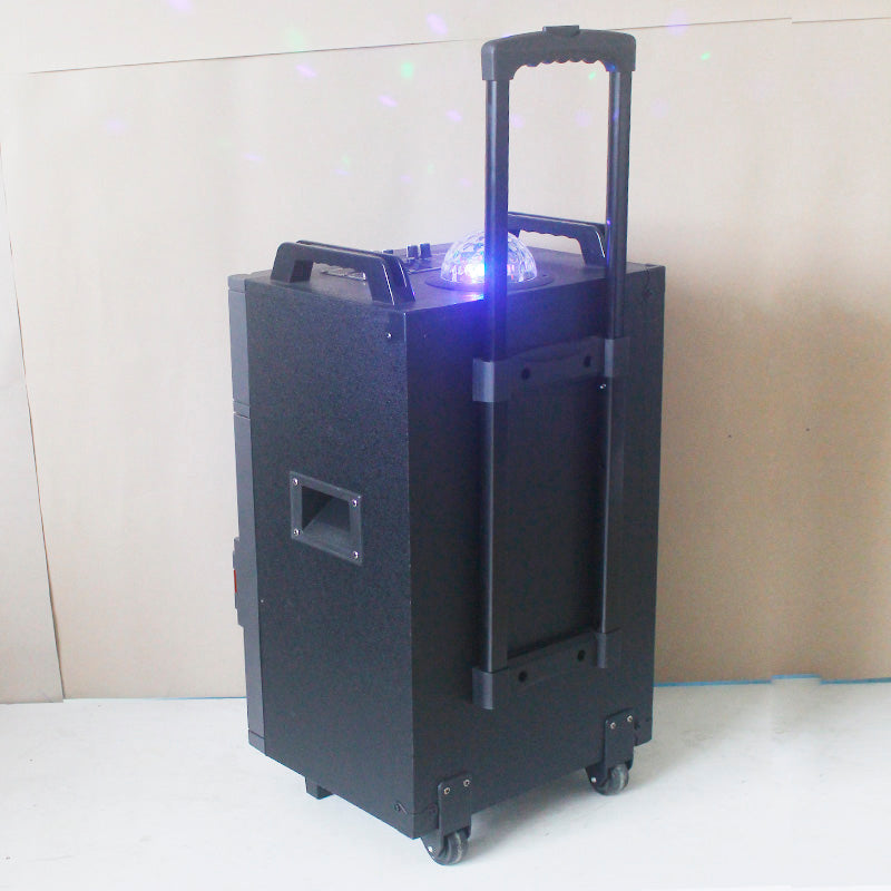 1X12" Outdoor Party DJ Equalizer Speaker