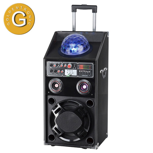 1X12" LED Outdoor Party Sound Speaker