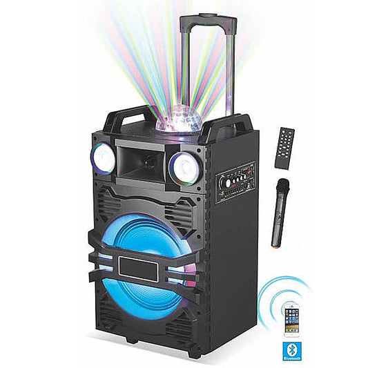 1X10" Trolley Party DJ Multimedia Speaker