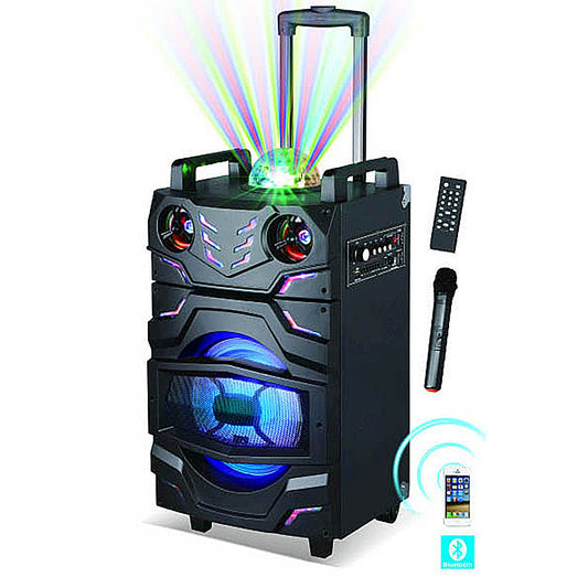 1X10" Trolley Party DJ Multimedia Wholesale Speaker