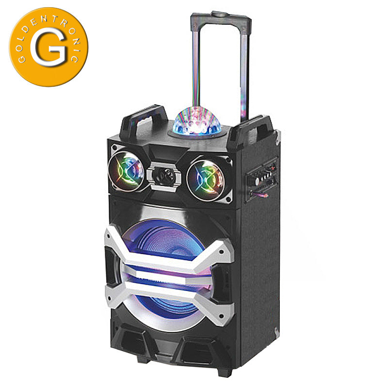 1X10" Trolley Ball Light Karaoke Speaker