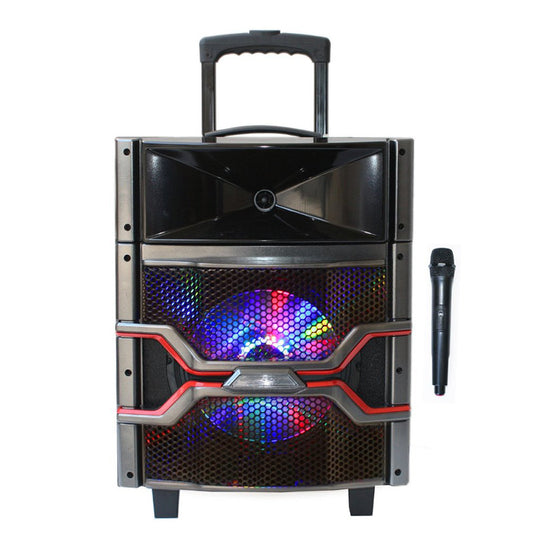 1X12" Powerful LED Party Speaker