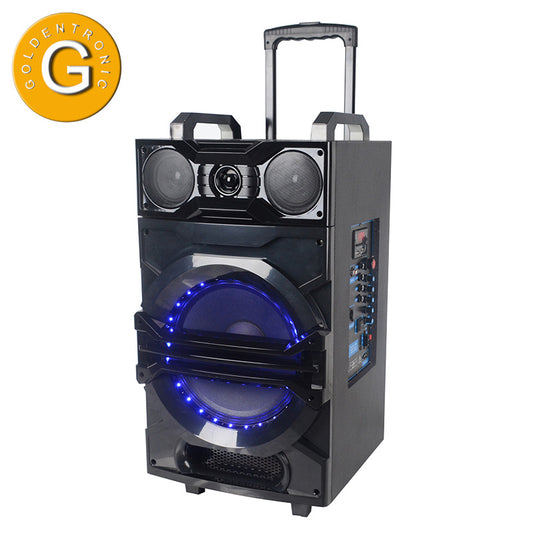 1X12" LED Ball Light Outdoor Party Professional Speaker