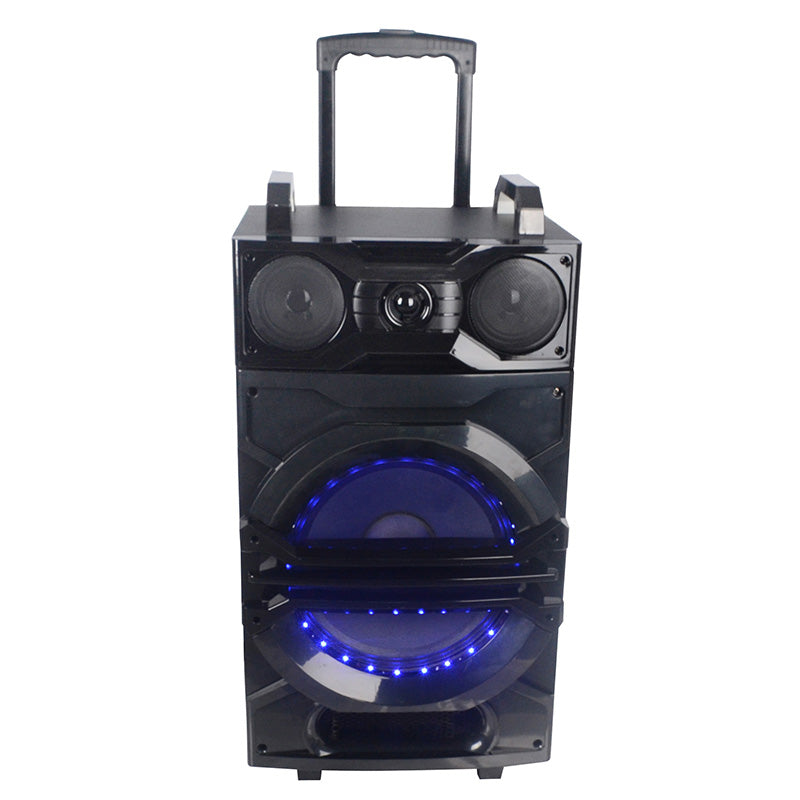 1X12" LED Ball Light Outdoor Party Professional Speaker