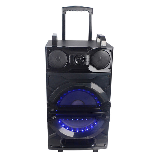 1X12" LED Ball Light Outdoor Party Professional Speaker