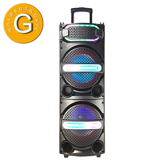 2X10" Multimedia system Portable Party Karaoke Speakers Audio with Handle