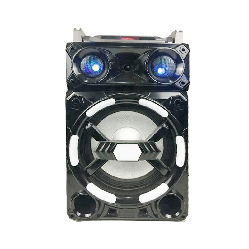 1X10" Trolley Amplifier Pro Mixer Big Speaker