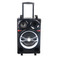 1X12" LED Ball Light Party PA Speaker