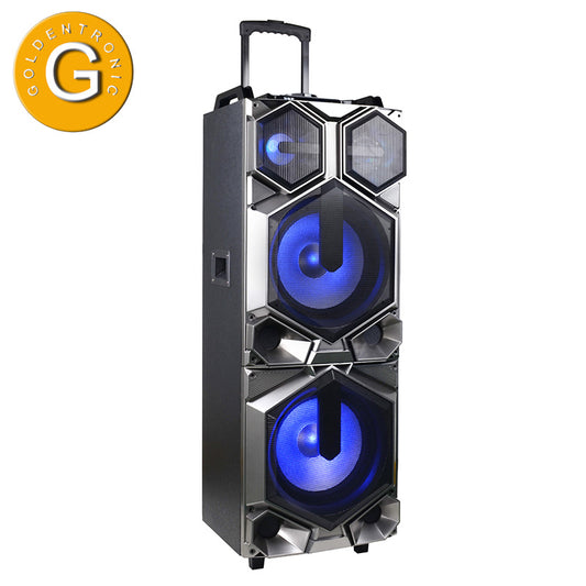 2×12’’ Fashionable Party Trolley portable speaker with microphone