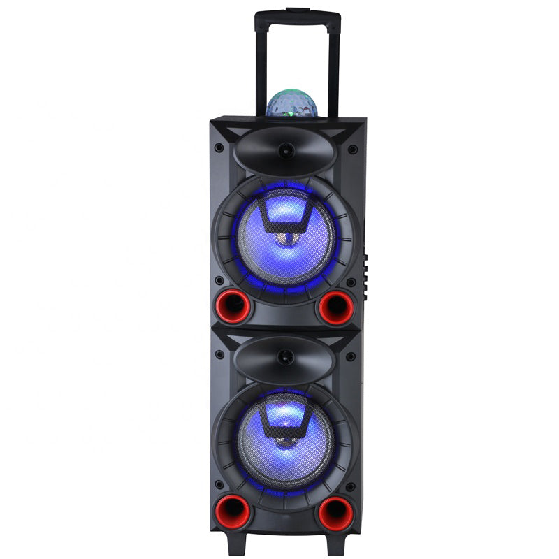 2X10" professional USB/SD/MMC/BT/FM/digital speaker with trolley