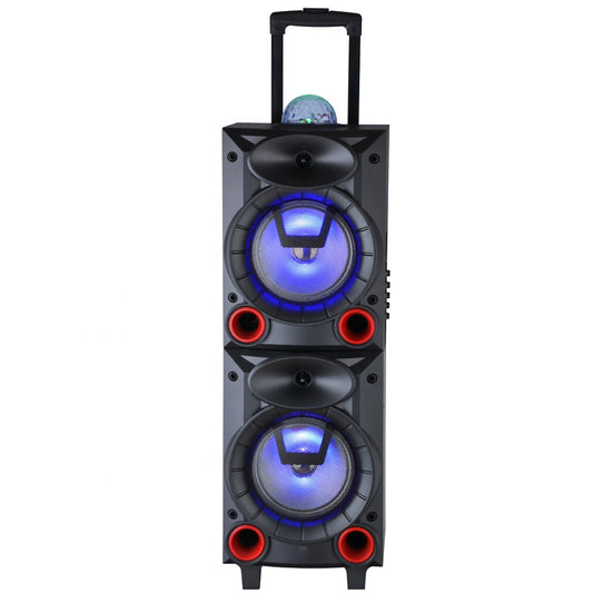 2X10" professional USB/SD/MMC/BT/FM/digital speaker with trolley