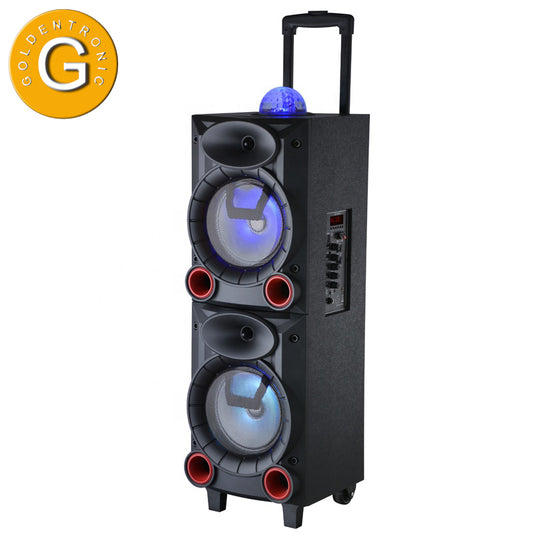 2X10" professional USB/SD/MMC/BT/FM/digital speaker with trolley