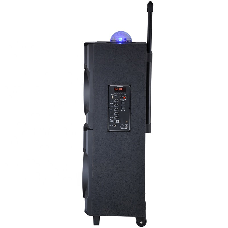 2X10" professional USB/SD/MMC/BT/FM/digital speaker with trolley