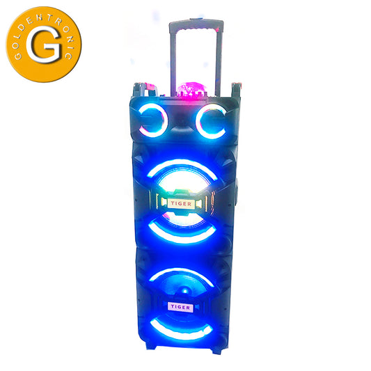 2X10" Trolley Bluetooth Speaker with Flashing Lights, Microphone & Remote Control