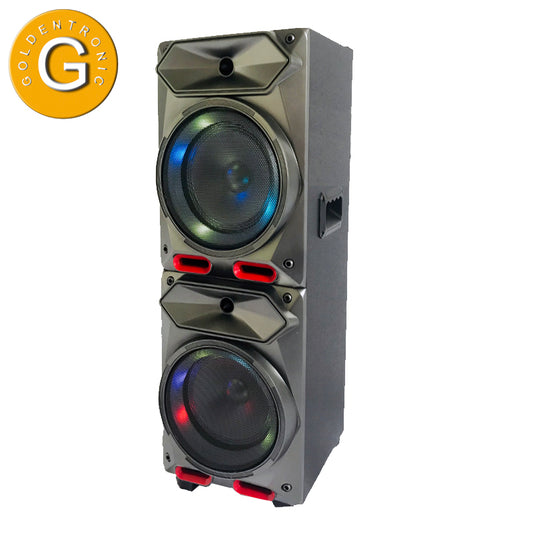 2X8" new style outdoor pro sound big battery speaker