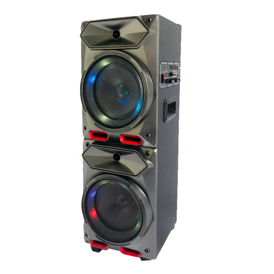 2X8" new style outdoor pro sound big battery speaker