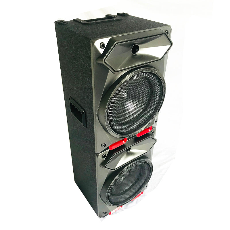 2X8" new style outdoor pro sound big battery speaker