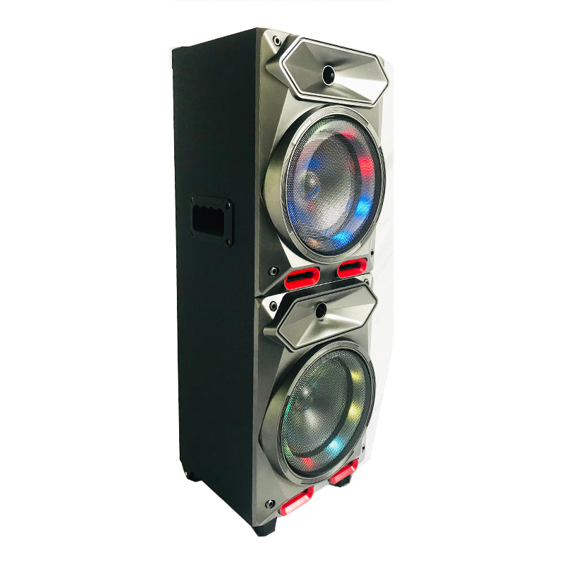 2X8" new style outdoor pro sound big battery speaker