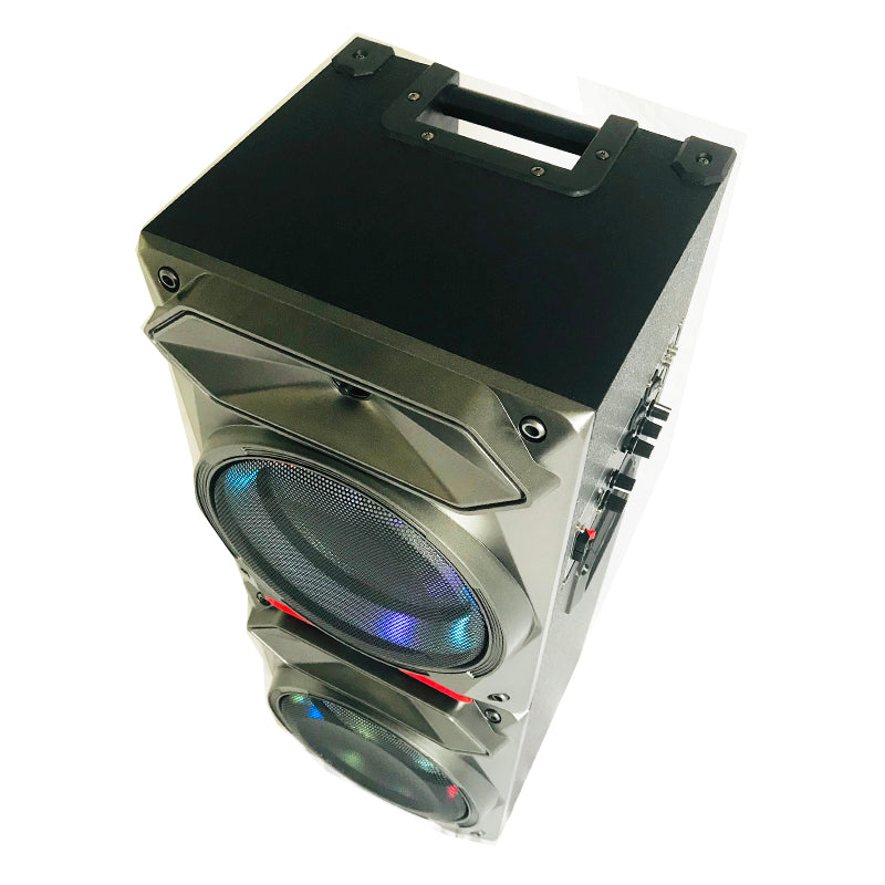 2X8" new style outdoor pro sound big battery speaker