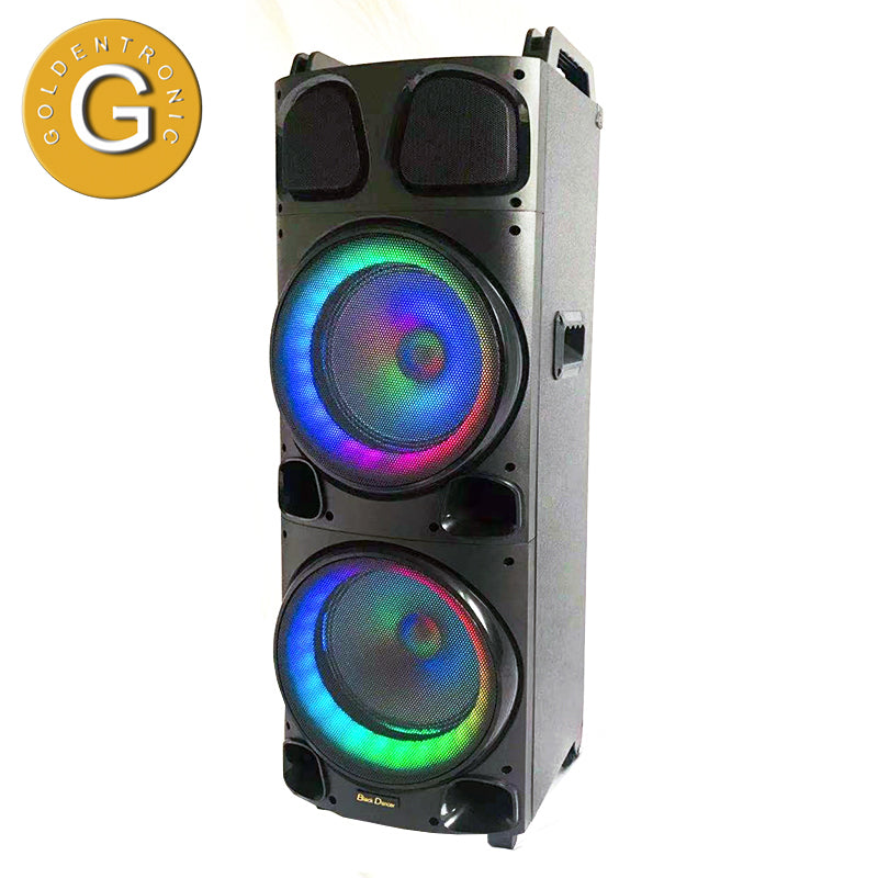 2×10"Popular Karaoke wireless wooden box speaker outdoor led speaker