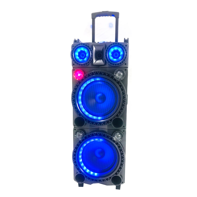 2X10" Multimedia wooden speaker with mic