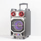 1X10" Trolley Battery Outdoor Party Speaker