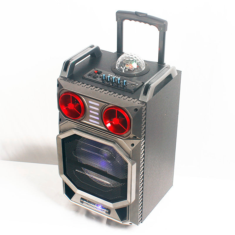 1X10" Trolley Battery Outdoor Party Speaker