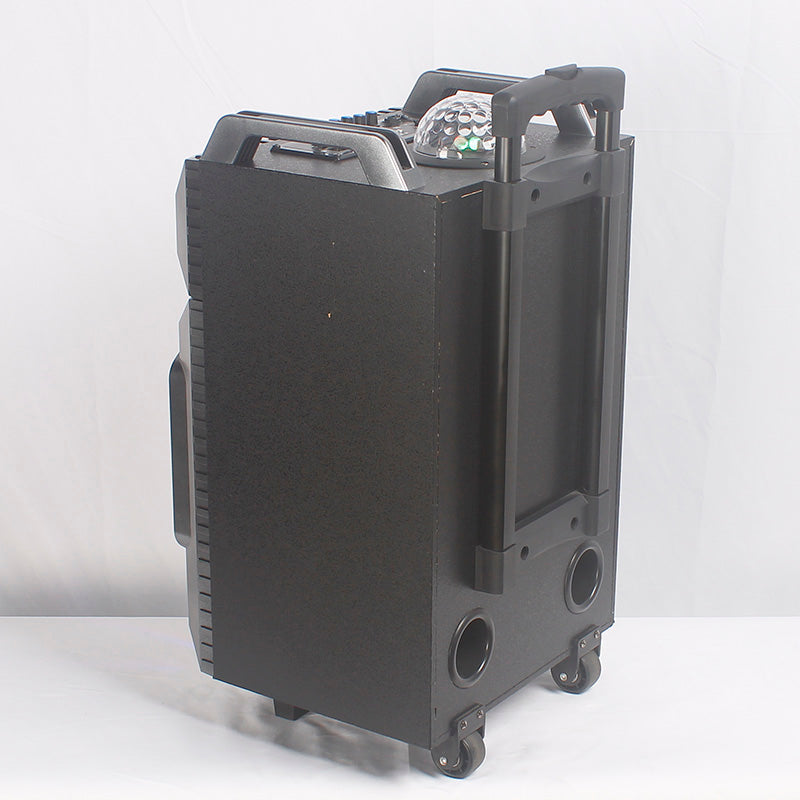 1X10" Trolley Battery Outdoor Party Speaker