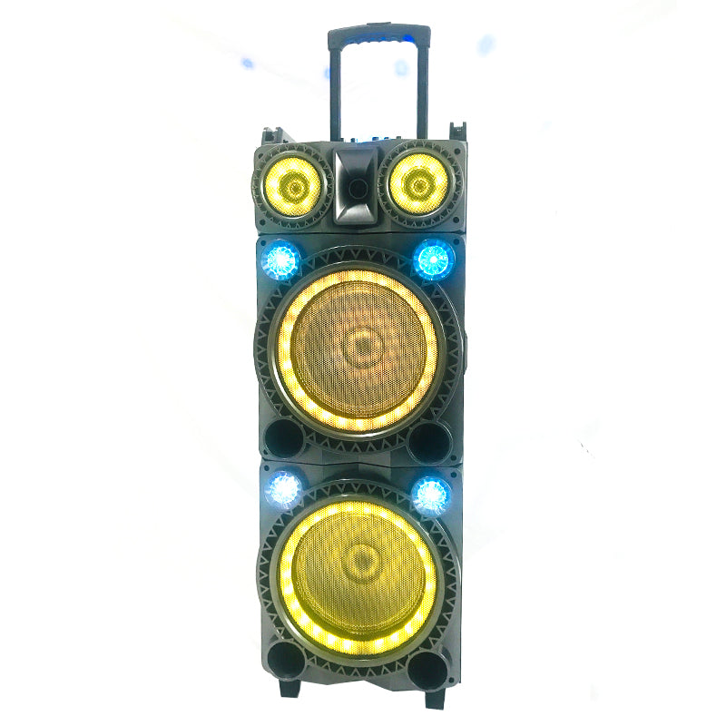 2X10" Karaoke Speakers Audio with Mic