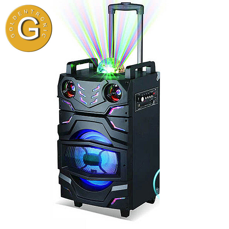 1X10" Trolley Party DJ Multimedia Wholesale Speaker