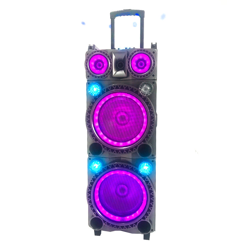 2X10" Karaoke Speakers Audio with Mic