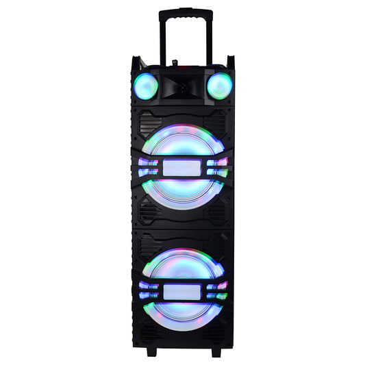 2×10"Active  Stage Speaker with USB SD FM radio BT Remote Control