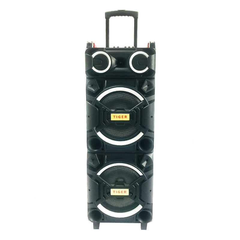 2X10" Trolley Bluetooth Speaker with Flashing Lights, Microphone & Remote Control