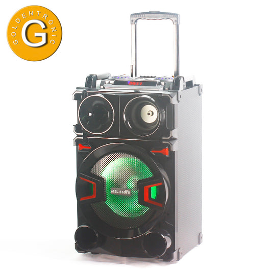 1X12" Rechargeable Trolley PA Party Speaker