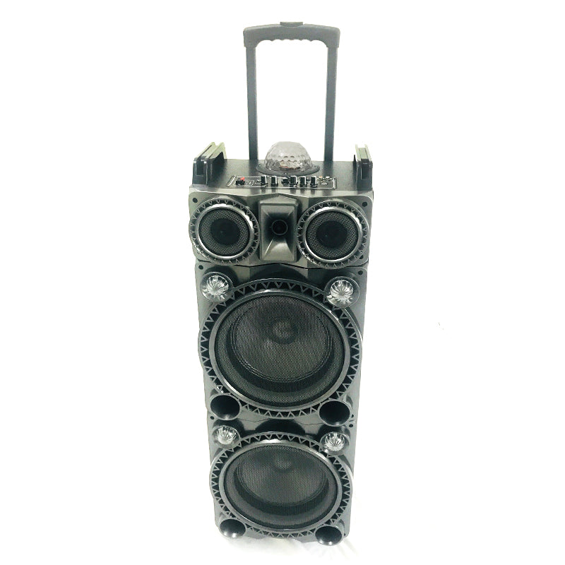 2X10" Multimedia wooden speaker with mic