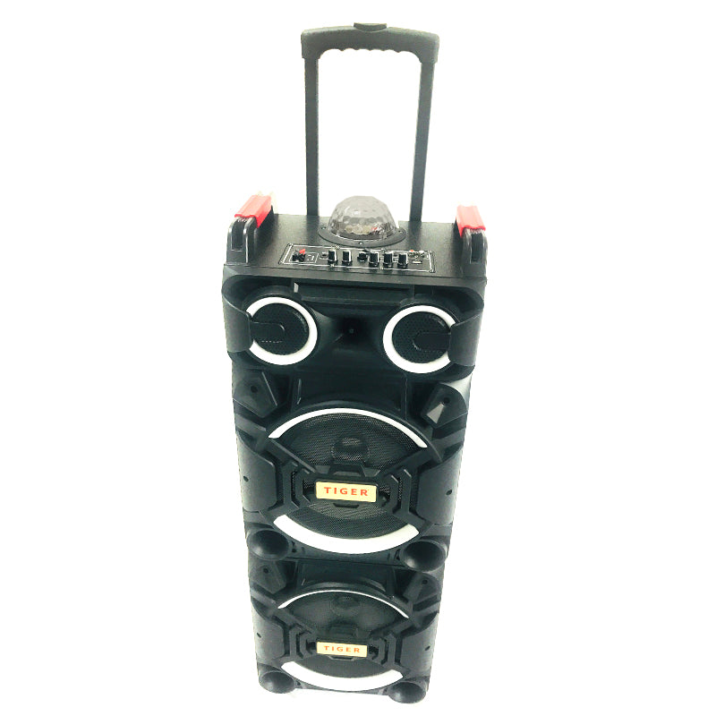 2X10" Trolley Bluetooth Speaker with Flashing Lights, Microphone & Remote Control