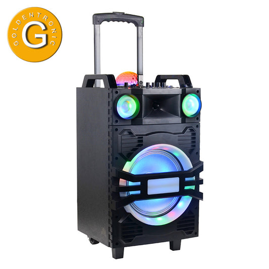 1X10" Trolley Party DJ Smart Speaker