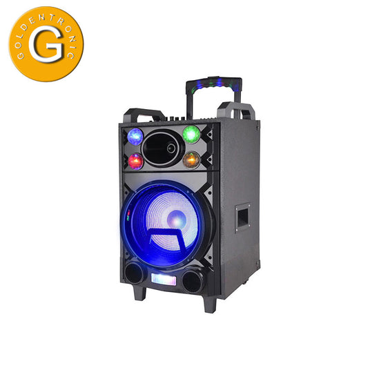 1X10" Outdoor Karaoke Trolley Speaker With Wireless Mic