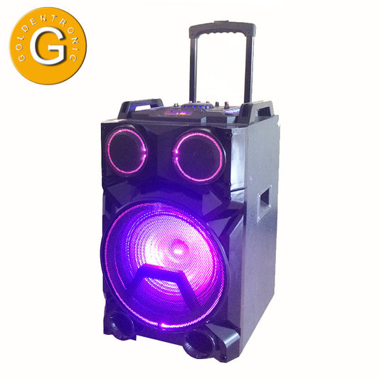 1X12" Trolley Rechargeable Speaker