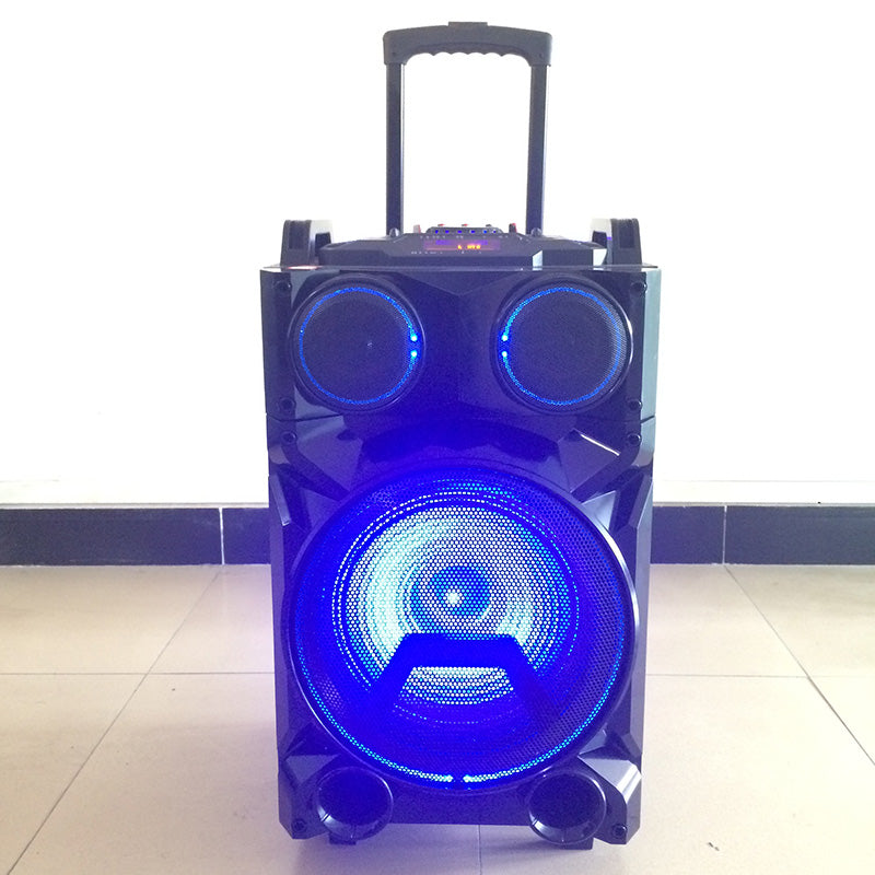 1X12" Trolley Rechargeable Speaker