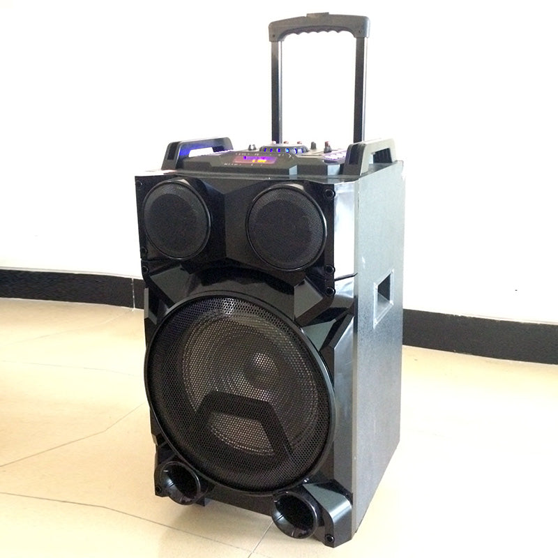 1X12" Trolley Rechargeable Speaker