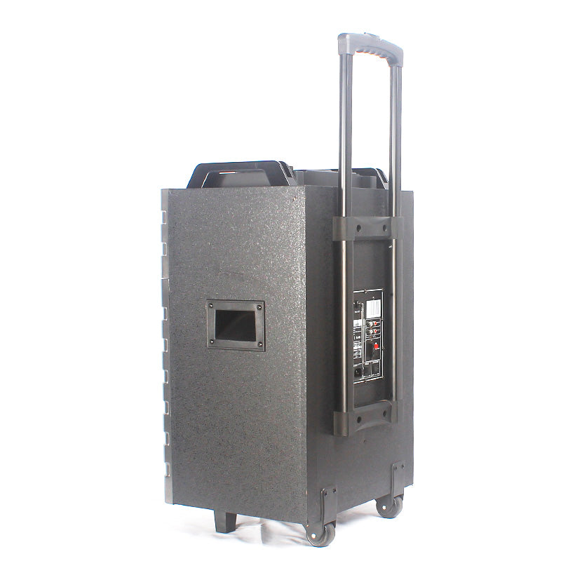 1X12" Rechargeable Trolley PA Speaker