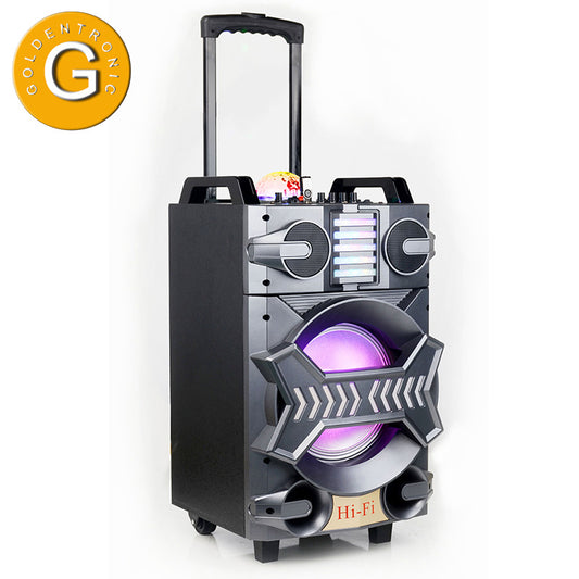 1X10" Trolley Outdoor Party DJ Speaker