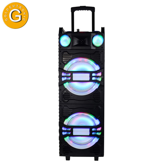 2×10" Battery Outdoor Stage Speaker